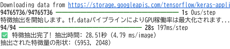 feature_extraction_results_sneaker_similar_image_search_ver2